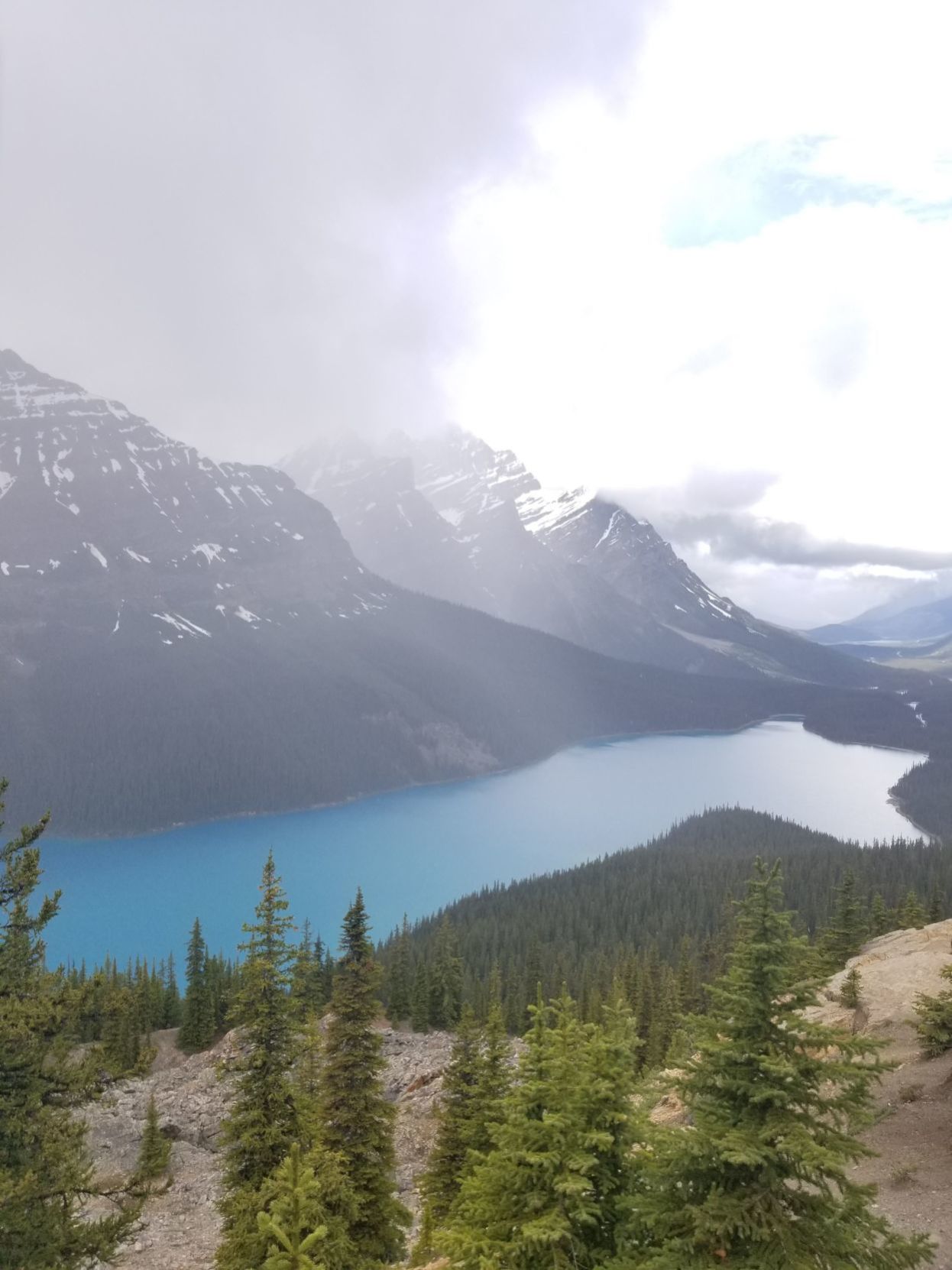 Peyto Lake in Alberta, Canada, June 2019